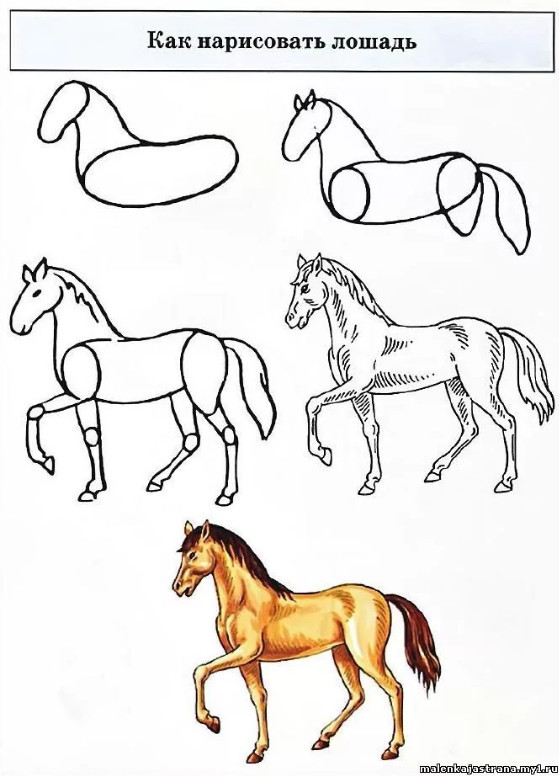 мастер-класс как рисовать лошадь, поэтапно карандашом