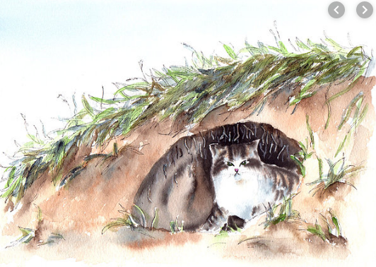 Борис Житков "Беспризорная кошка" рисунок