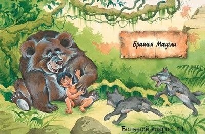 "Маугли": краткое содержание для читательского дневника, что писать?