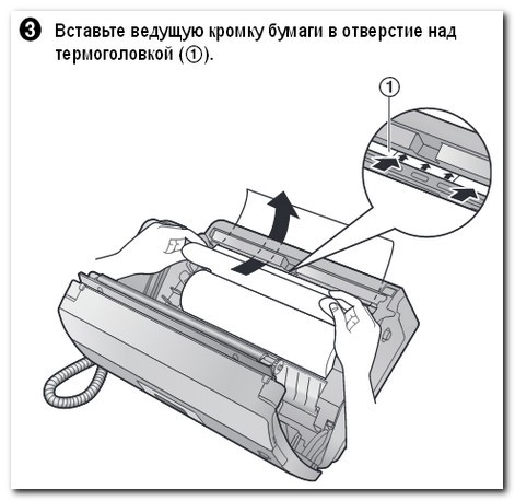 текст при наведении