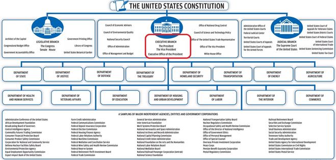 International branch. Структура администрации президента США. Дерево правительства США. Executive Branch of the United States government. Government структура USA.