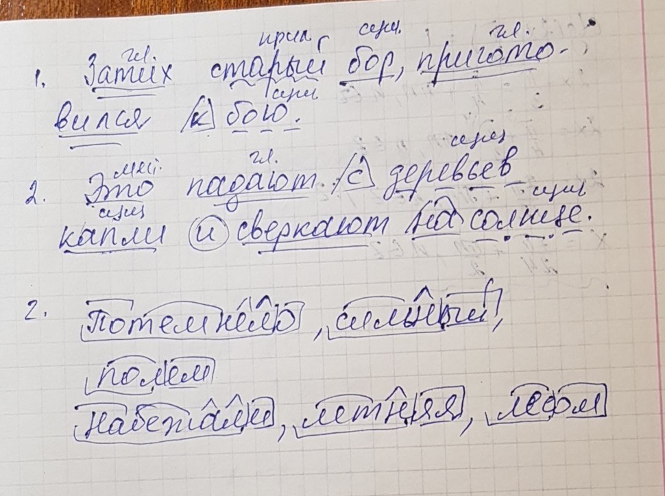 В небе появилась и засверкала первая вечерняя звездочка схема предложения