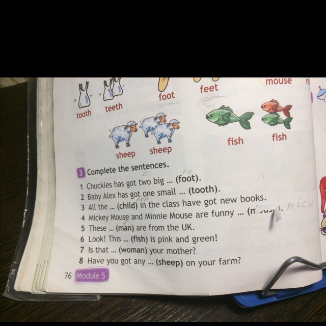 A mouse has got a перевод. Complete the sentences на русском языке. Chuckles has got two big foot. Complete the sentences 8 класс. Complete the sentences 5 класс ответы.