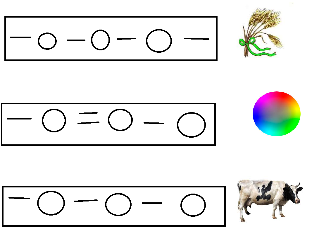 Слоги в слове корова. Схема звука е. Звуковий аналіз. Звуковая схема корова. Звуковая схема пустая.