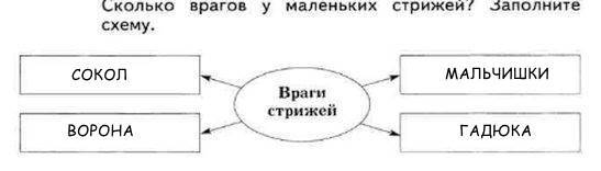 Стрижонок скрип враги стрижей. Сколько врагов у Стрижей заполните схему. Враги Стрижей схема. Сколько врагов у маленьких Стрижей заполните схему. Сколько врагов у маленьких Стрижей заполните схему враги Стрижей.