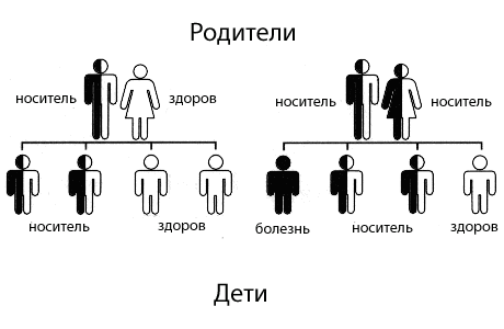 текст при наведении