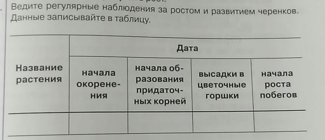 Вопрос номер 6 ответ. Наблюдение за ростом и развитием черенков. Таблица наблюдение за ростом и развитием черенков. Наблюдение за развитием корней. Таблица наблюдение за развитием корней.