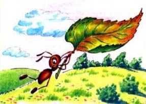 Бианки "Как муравьишка домой спешил": какое краткое содержание рассказа?