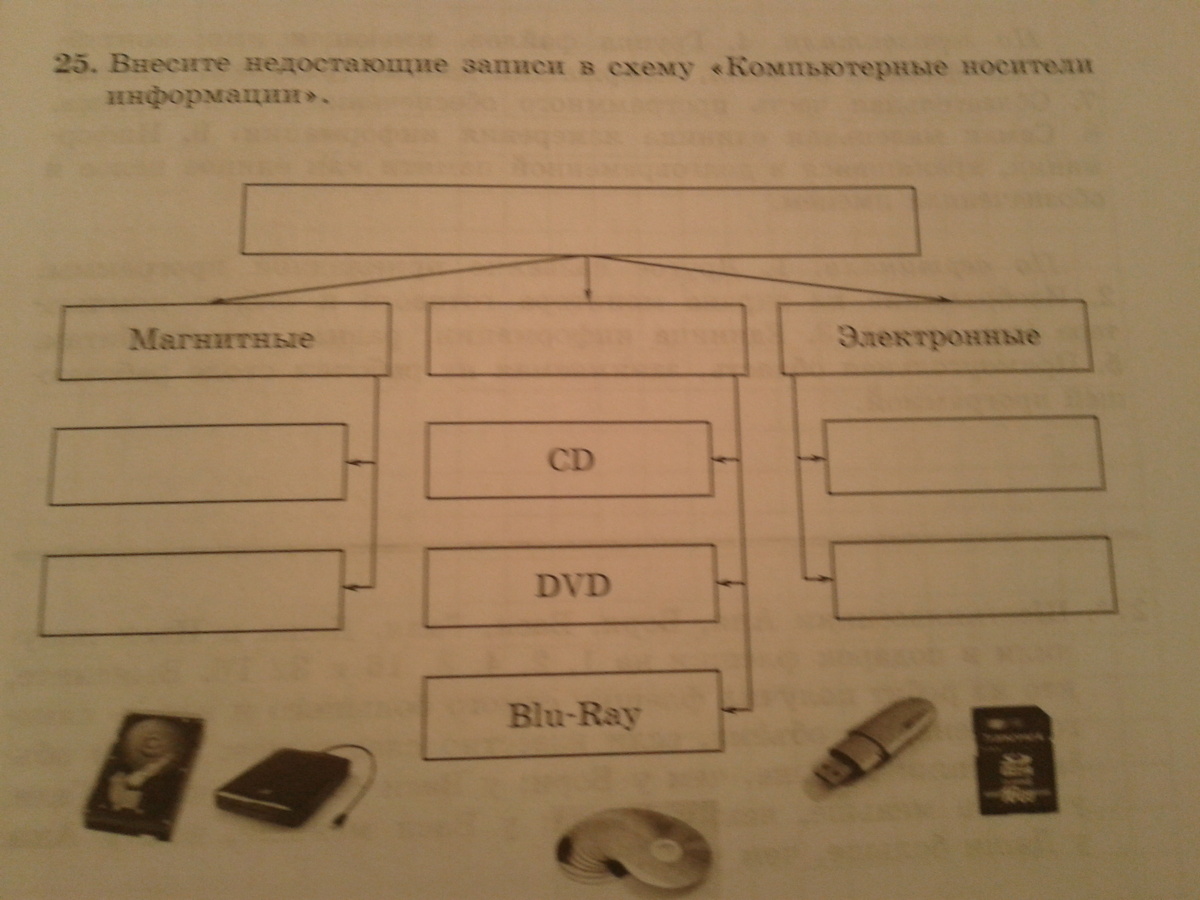 Графические объекты на компьютерных носителях называются фотографиями изображениями картинками