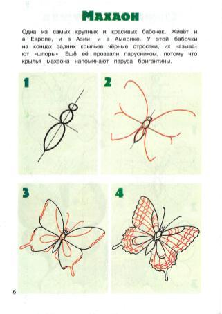 Как нарисовать бабочку Махаон