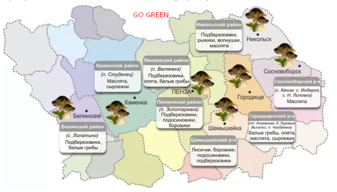 Карта где грибы. Карта грибов Пензенской области. Грибные места в Пензенской области на карте. Карта грибов Пенза. Грибы Пенза карта.