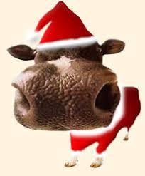 Прикольные, веселые картинки быка, коровы на Новый год 2021