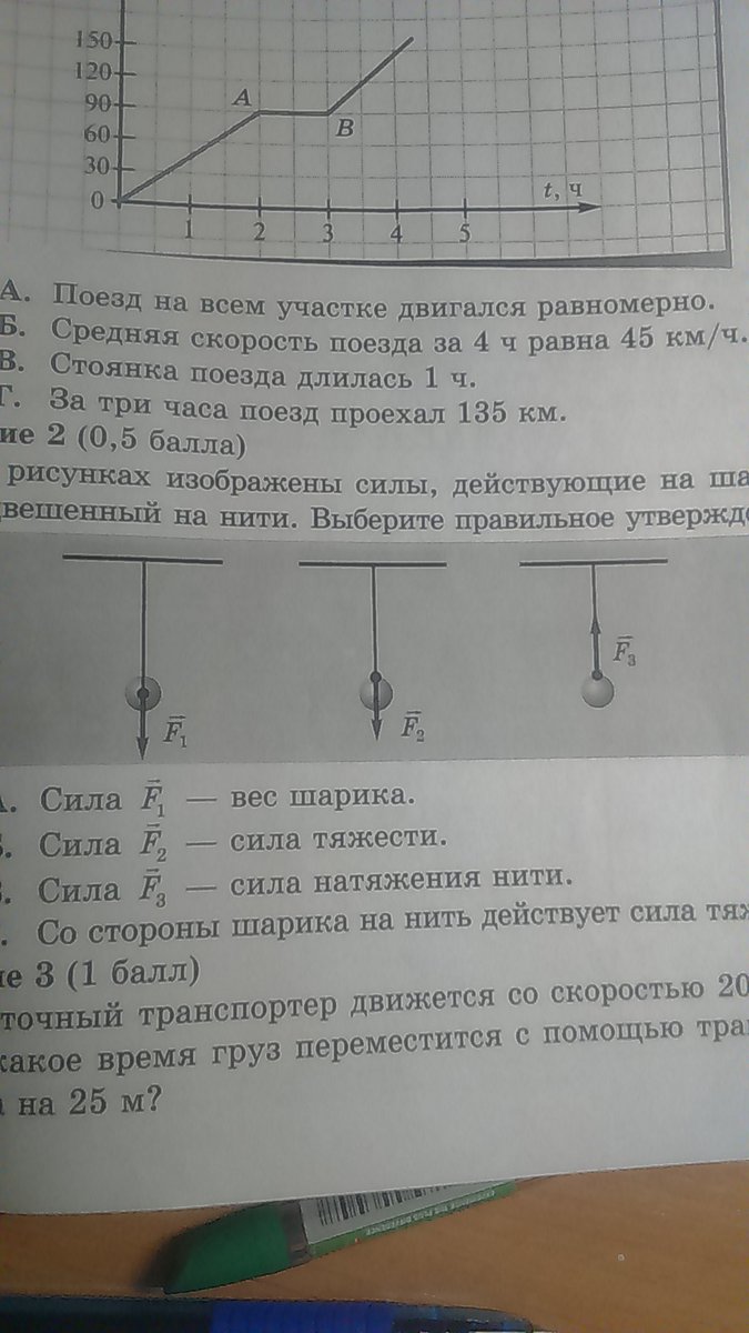 Силы действующие на подвешенный шарик. На рисунке изображены силы действующие на шарик. Изобразите силы действующие на шарик подвешенный на нити. На рисунке изображены силы действующие шар. Какие силы действуют на шар подвешенный на нити.