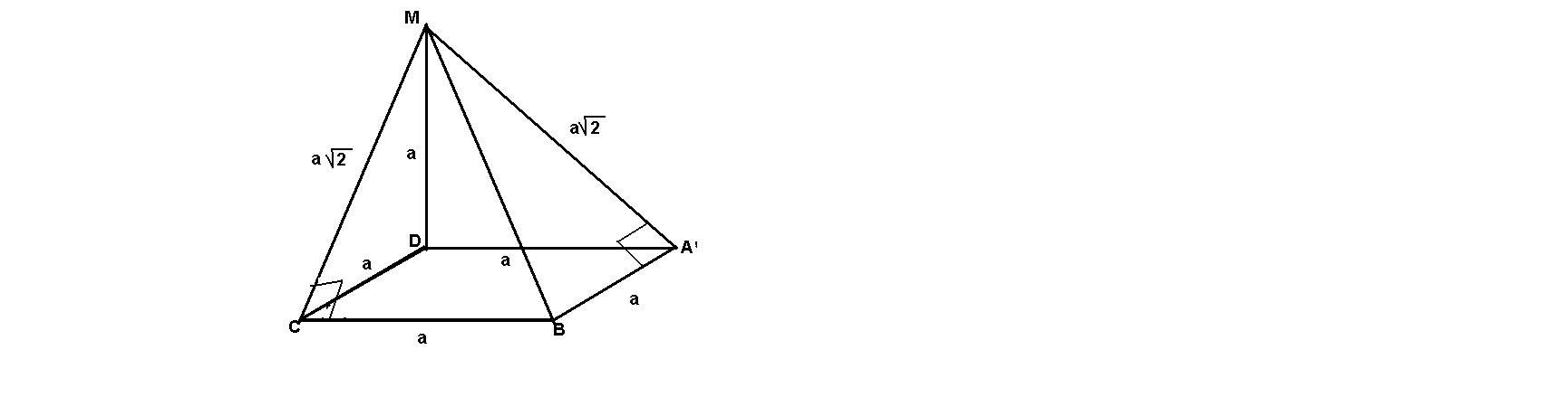 Ребро пирамиды перпендикулярно плоскости основания