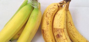 Срок годности и срок хранения бананов.