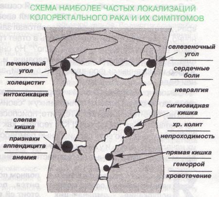 текст при наведении