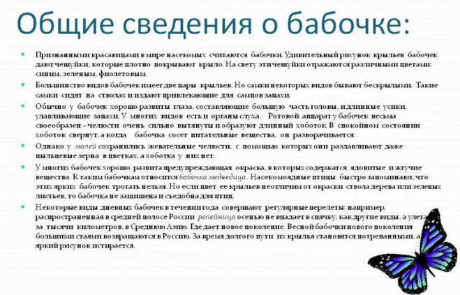 Рассказ про бабочек для 1 класса окружающий мир