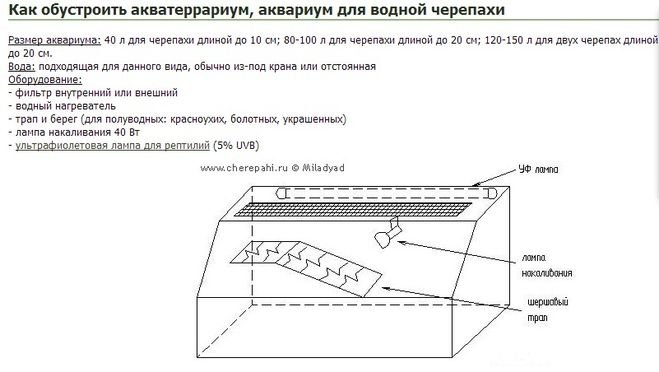 текст при наведении