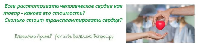 Если рассматривать человеческое сердце как товар - какова его стоимость?  Сколько стоит трансплантировать сердце?