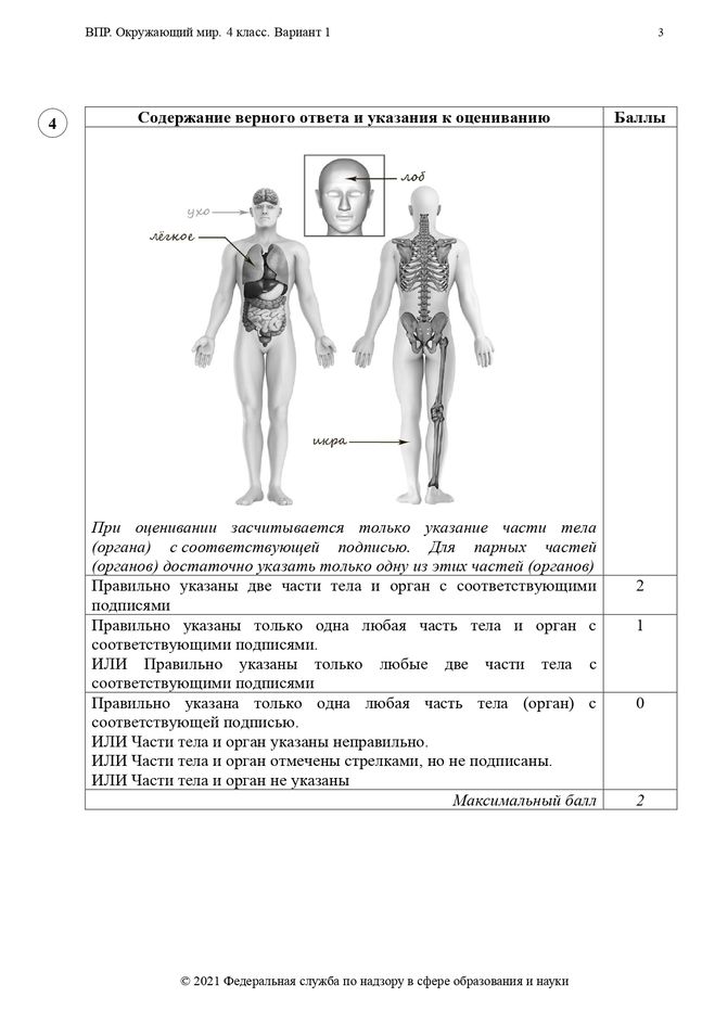 Впр по окружающему миру класс. ВПР.окружающий мир 4 класс. ВПР окружающий мир. О П Р по окружающему миру 4 класс. ВПР по окружающему миру 4 класс.