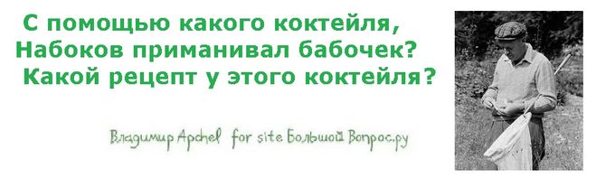 рецепт коктейля Владимира Набокова, как легко ловить бабочек, как приманить бабочку