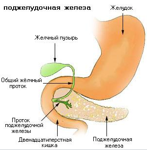 Информация