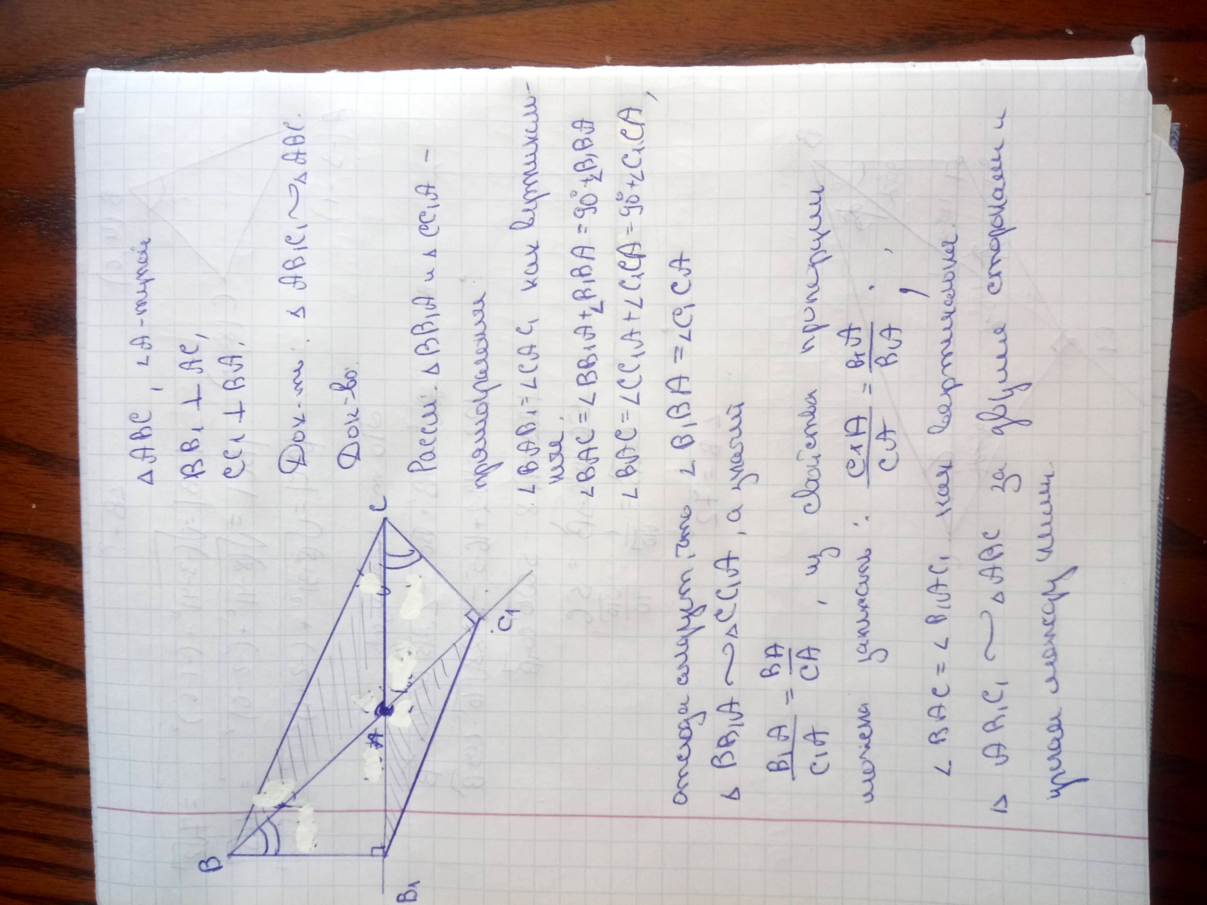 Доказать abc угол c. Тупой угол в треугольнике АВС. В треугольнике ABC угол ABC тупой. Высота аа1 и вв1 треугольника АВС угол. Провести в треугольнике с тупым углом.