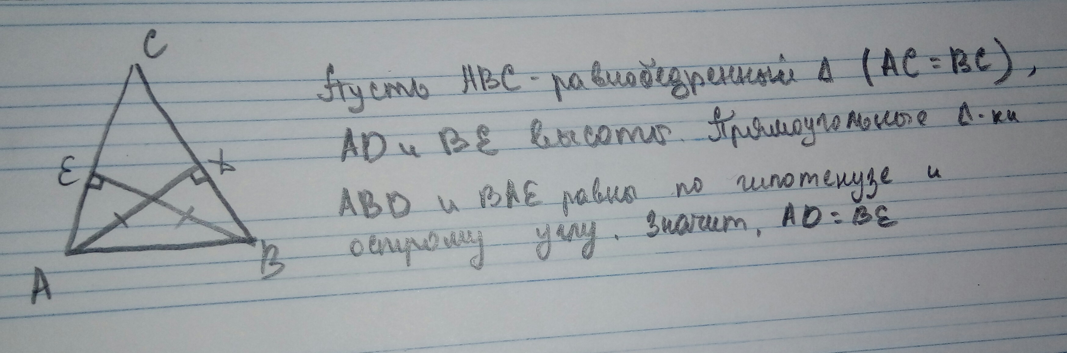 Провести высоты к боковым сторонам треугольника. Доказать что высоты в равнобедренном треугольнике равны. Высоты в равнобедренном треугольнике равны доказательство. Высота проведенная к боковой стороне равнобедренного треугольника. Докажите что высоты в равнобедренном треугольнике равны.