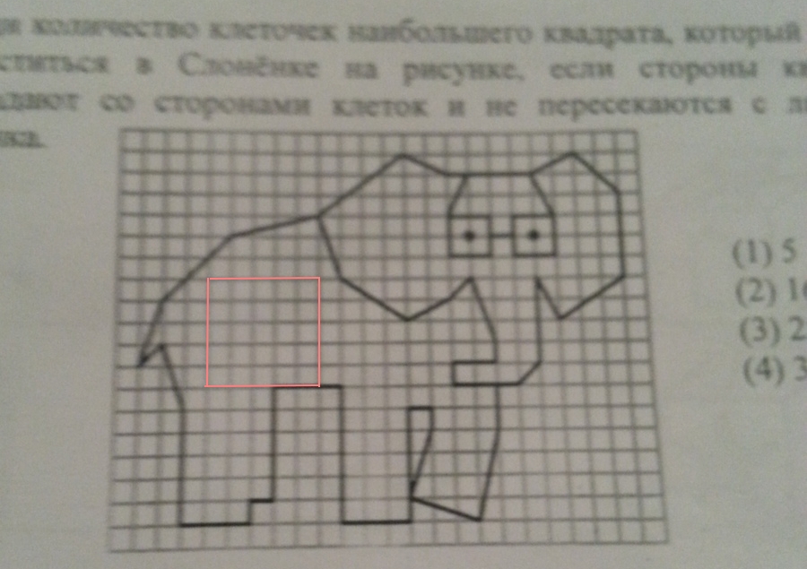 Рисунок 25 на 25 клеток