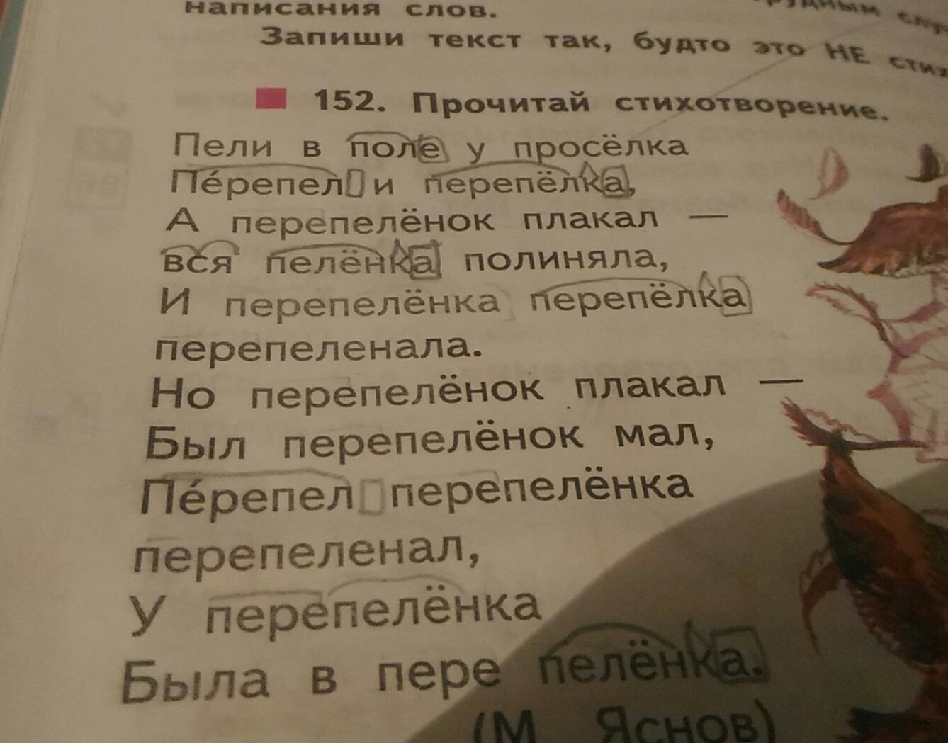 Прочитайте соберите. Пели в поле у проселка перепел и Перепелка. Выпиши две группы родственных слов. Выдели 2 группы родственных слов. Так выпиши из текста родственные слова.