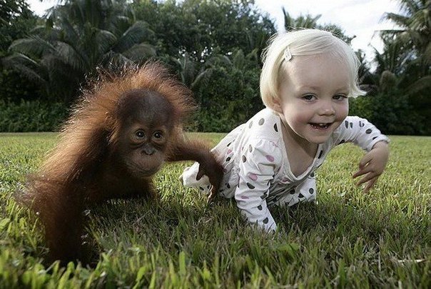 обезьяна и ребенок