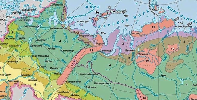 карта природных зон россии