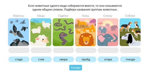 Учи ру животные. Стая или стадо учи ру. Учи ру звери. Названия групп животных стая стадо. Стая или стадо 3 класс учи ру.