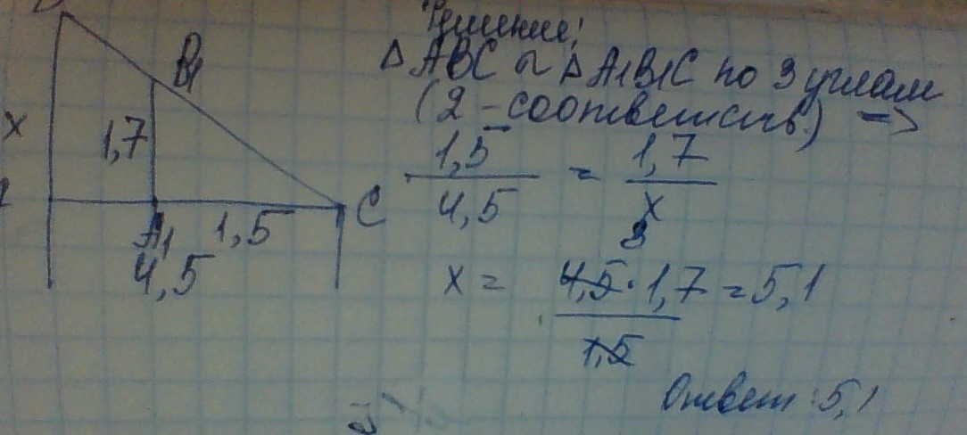 См стоит. 1 М 70см рост человека. Человек рост которого равен 1,70 стоит рядом с. Человек рост которого одна целая 70 м. Человек рост которого равен 1 м 60 см стоит рядом с деревом Найди высоту.