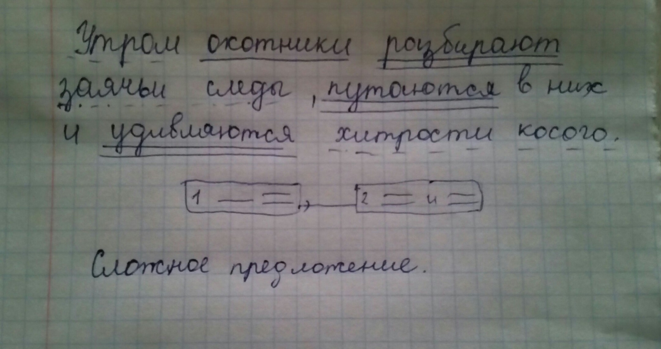 Охотники утверждают подмосковье славится своими лесами схема предложения