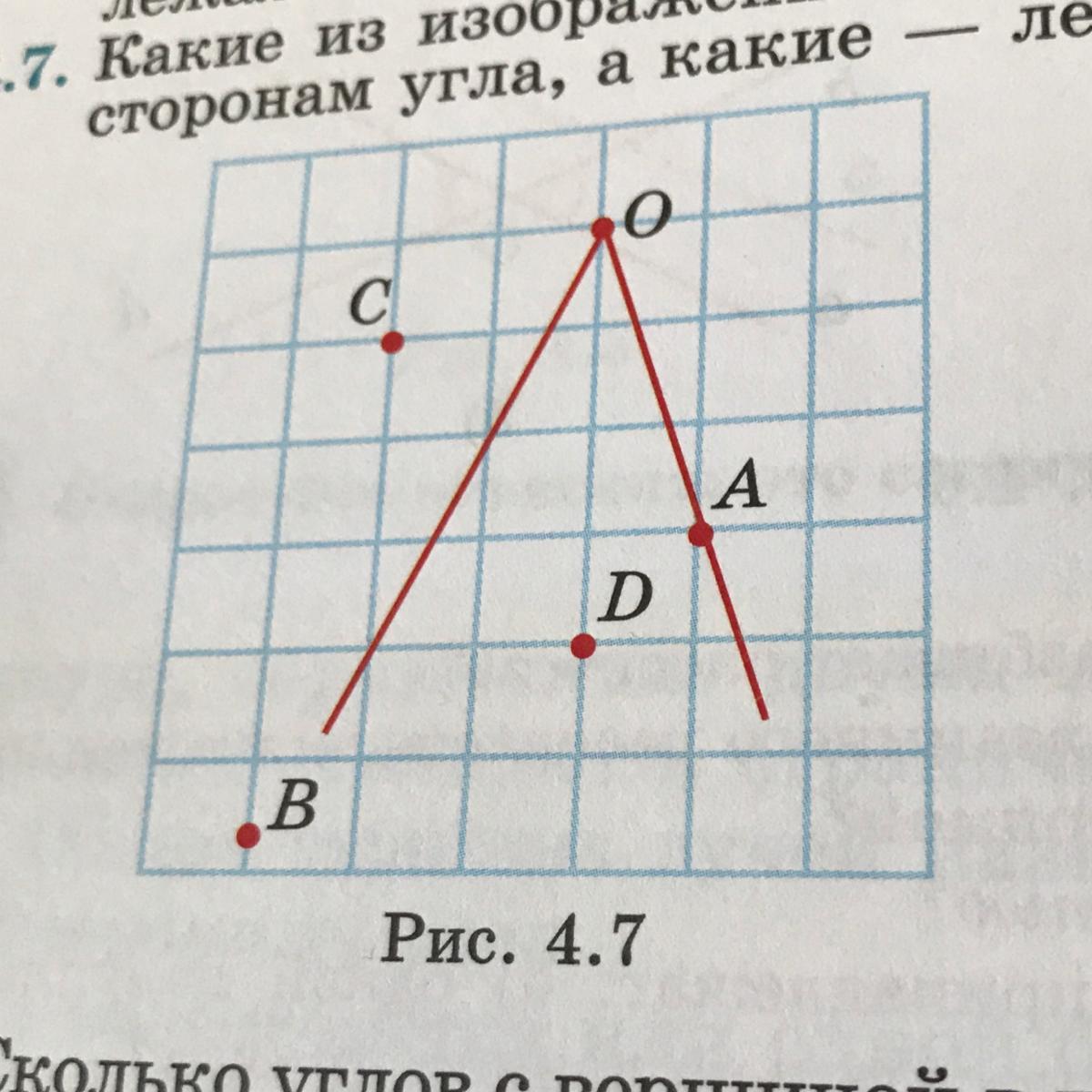 Расположи 7 точек. Точки лежащие на сторонах угла. Какие точки лежат на сторонах угла. Точки принадлежащие углу. Изобрази точки принадлежащие углу.