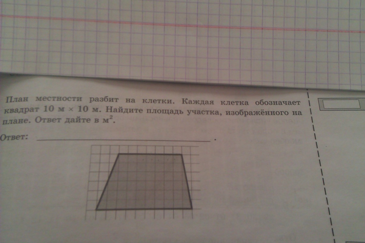 План местности разбит на клетки найдите площадь