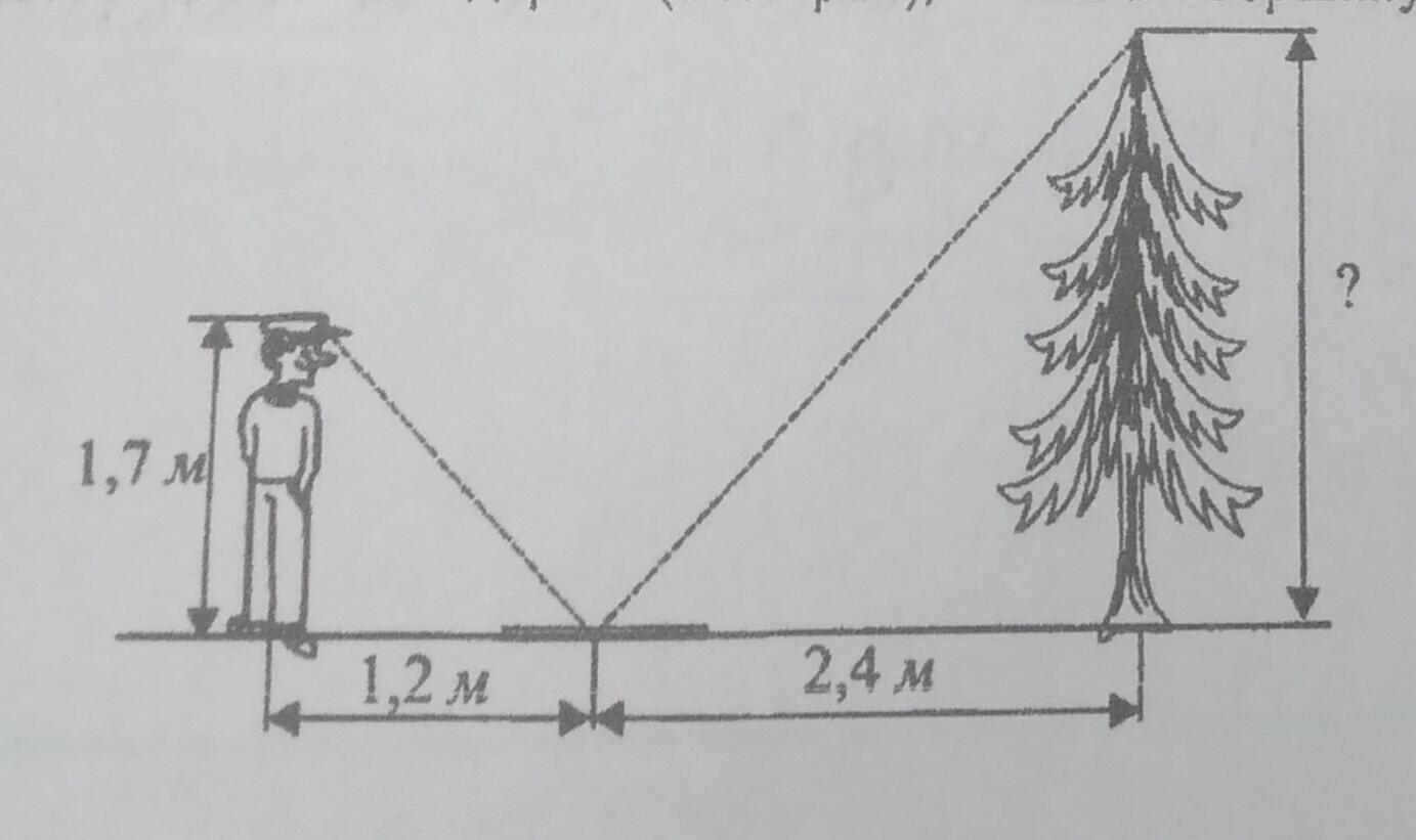 Изобразить расстояние 400. Удаленность рисунок. Человек ростом в 1.2м. Человек ростом 1.7 м. Человек ростом 1.7 метра чертёж.