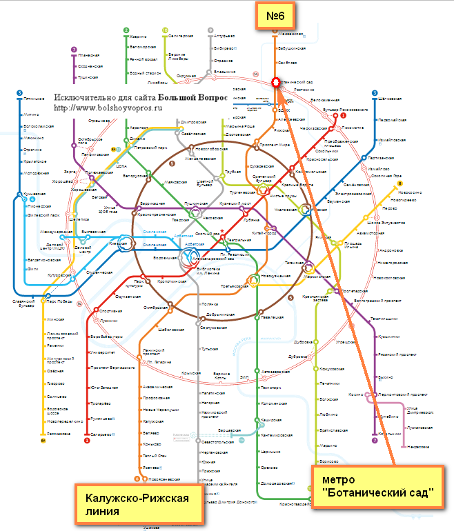 Метро бабушкинская на карте москвы. Метро Ботанический сад на схеме метро Москвы. Метро Ботанический сад на карте метрополитена. Метро Ботанический сад на карте Москвы. Схема Московского метрополитена Медведково.