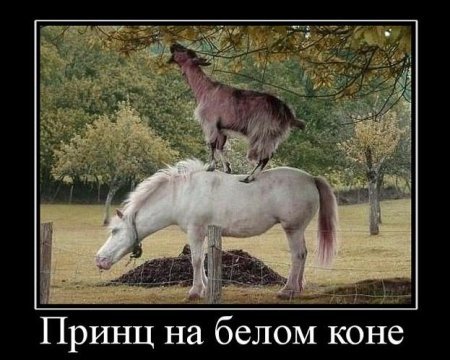 текст при наведении