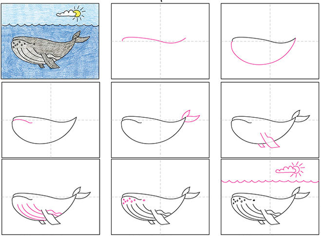 Как нарисовать кита поэтапно