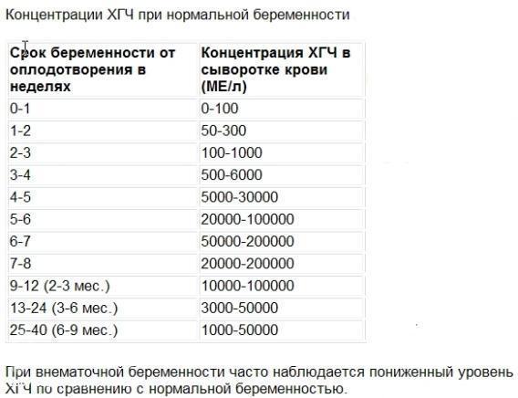 текст при наведении