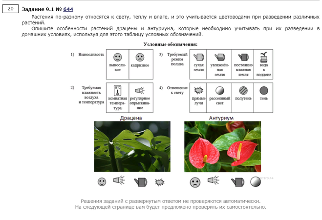 Опишите особенности растений антуриума и циссуса. Растения по разному относятся к свету. Растения по разному относятся к свету теплу и влаге и это. Антуриум условные обозначения.