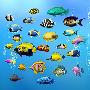 рыбы под водой картинка