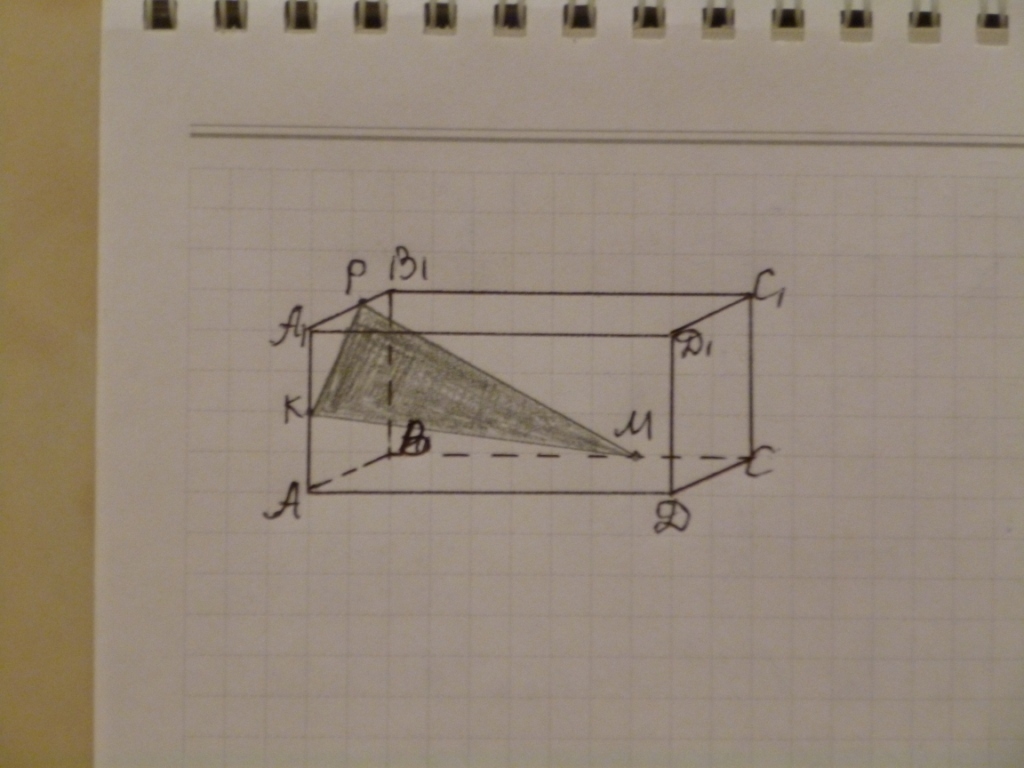 На рисунке изображен прямой параллелепипед abcda1b1c1d1 точки p и p1 принадлежат ребрам bc и b1c1