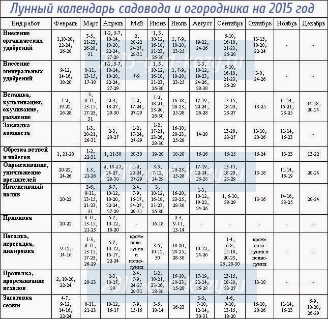 текст при наведении