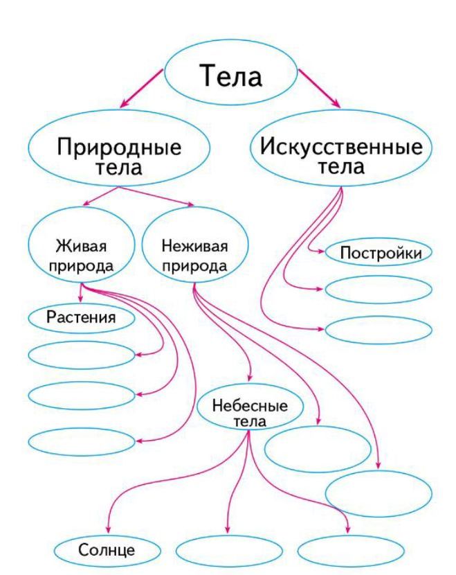 Составьте схему окружающий мир