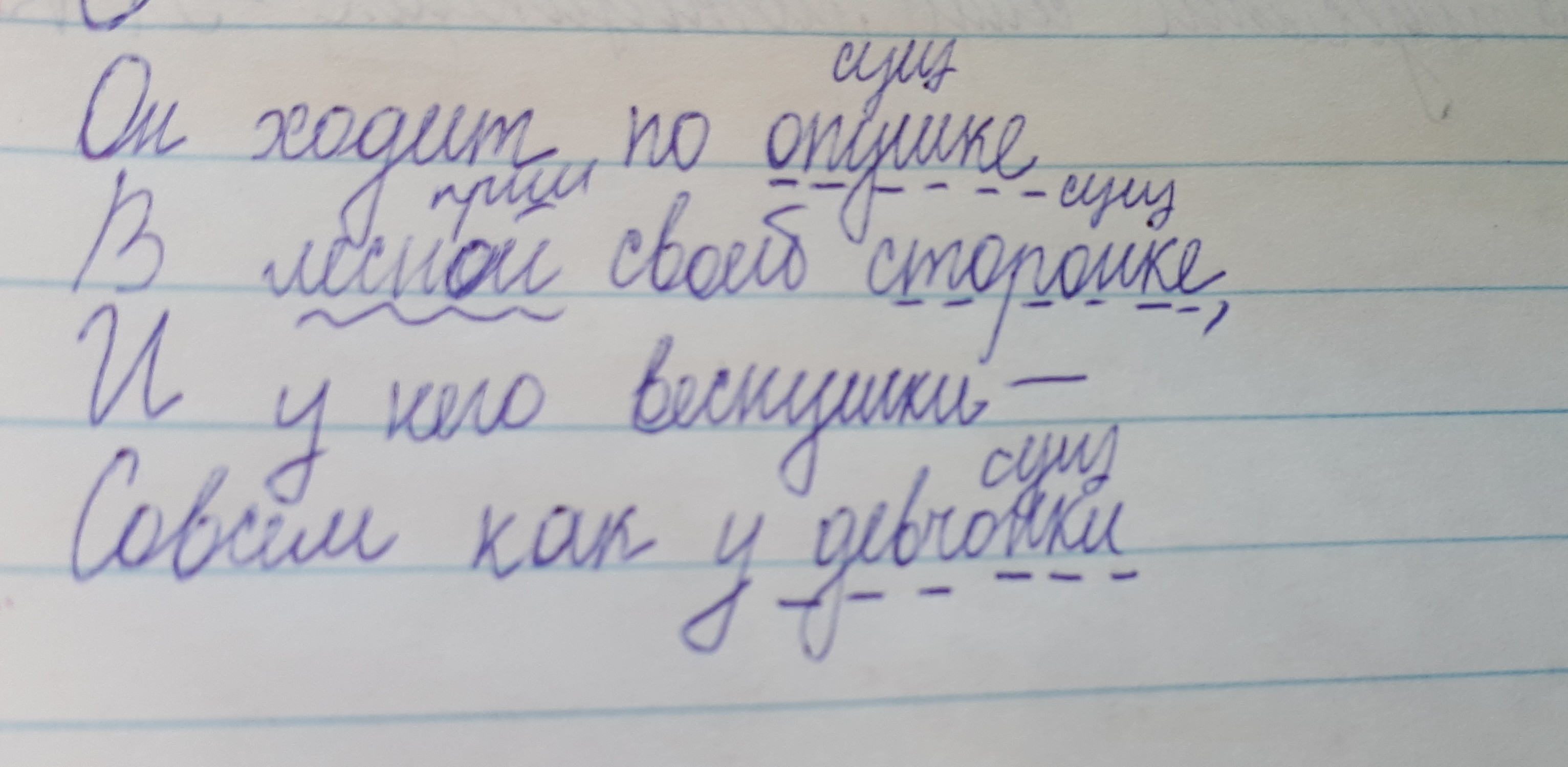 Шел по опушке. Опушке под цифрой 4. Морфологический разбор по опушке в Лесной своей сторонке.