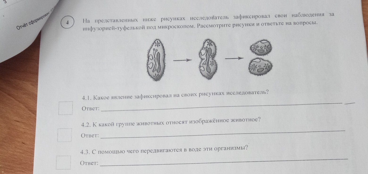 На представленном ниже рисунке ученик зафиксировал в виде схемы один