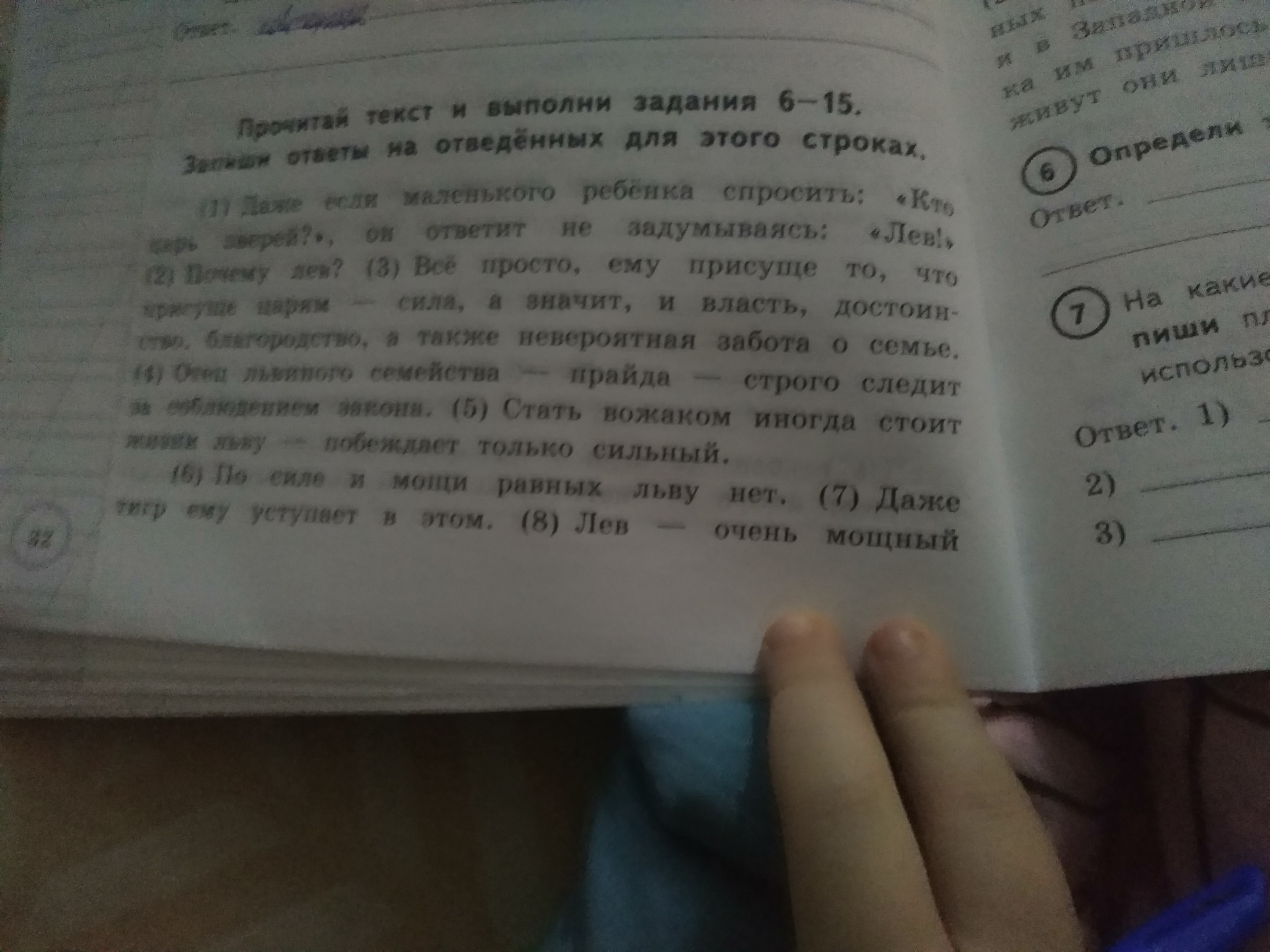 Составь и запиши план к тексту описанию